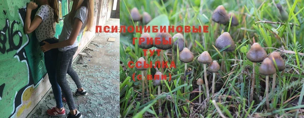 прущая мука Армянск